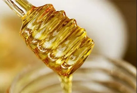 honey440 honey440
